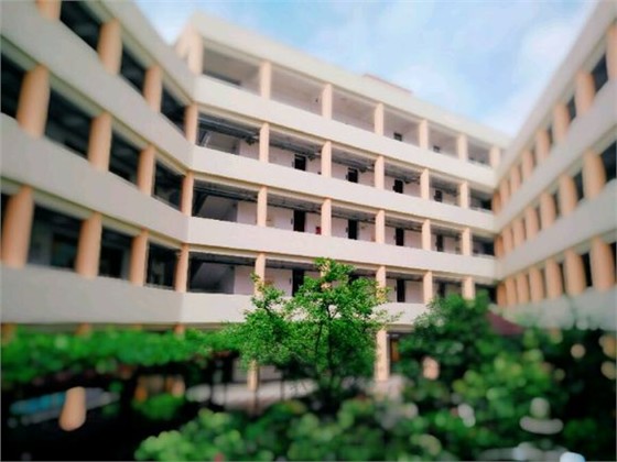 张江高科实验小学消防维保