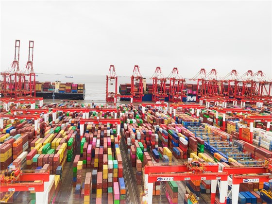 上海国际港务(集团)股份有限公司尚东集装箱码头分公司消防安全评估