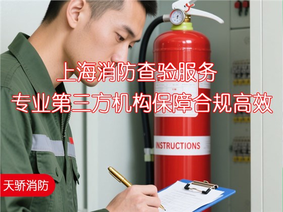 上海消防查验服务-专业第三方机构保障合规高效