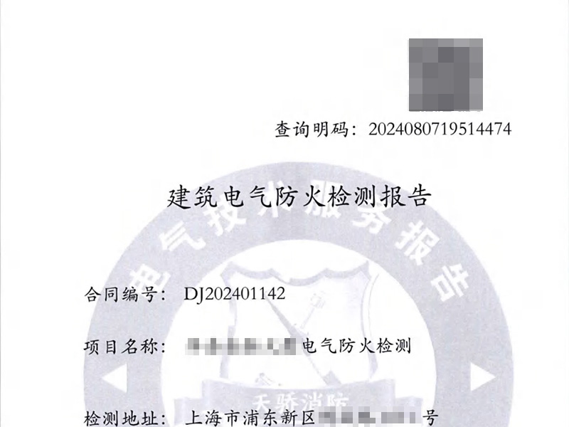 消电检报告