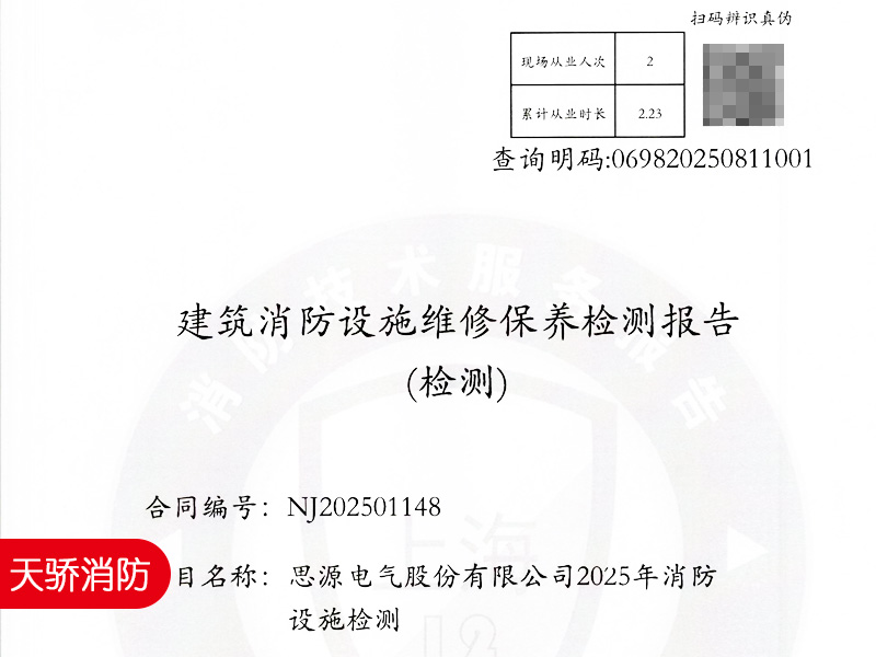 年度消防检测报告-上海天骄消防