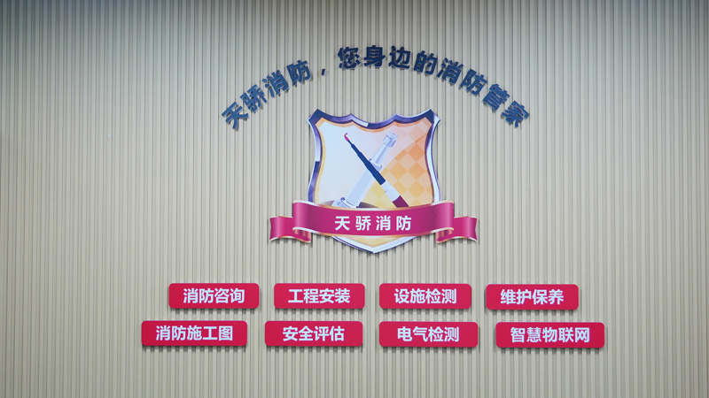 上海消防维保天骄